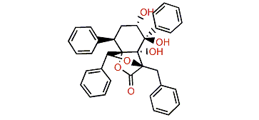 Maculalactone J